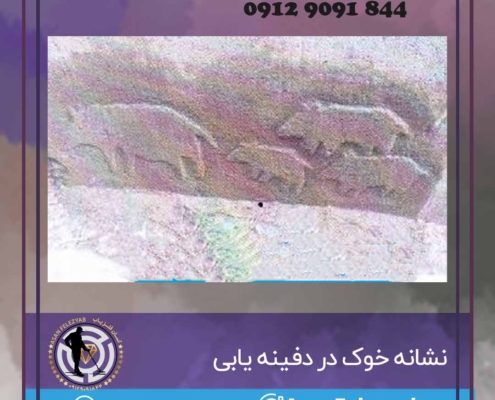 نشانه خوک و بچه هایش در گنج یابی